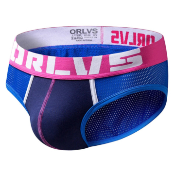 Mesh Brief Mens Underwear Blue