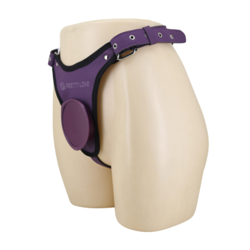 Pretty Love Caldric III Universal Harness Briefs Purple