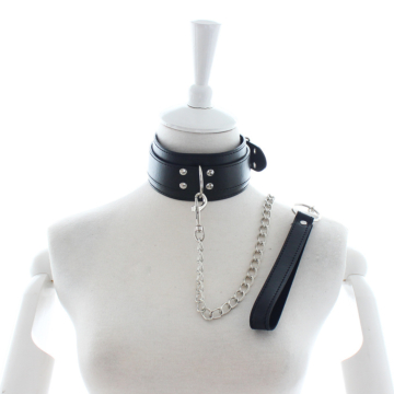 Double Buckle Collar with One D-Ring