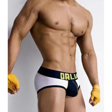 Mesh Brief Mens Underwear Black