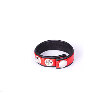 Rainbow Leather Cock Or Ball Strap - Black & Red